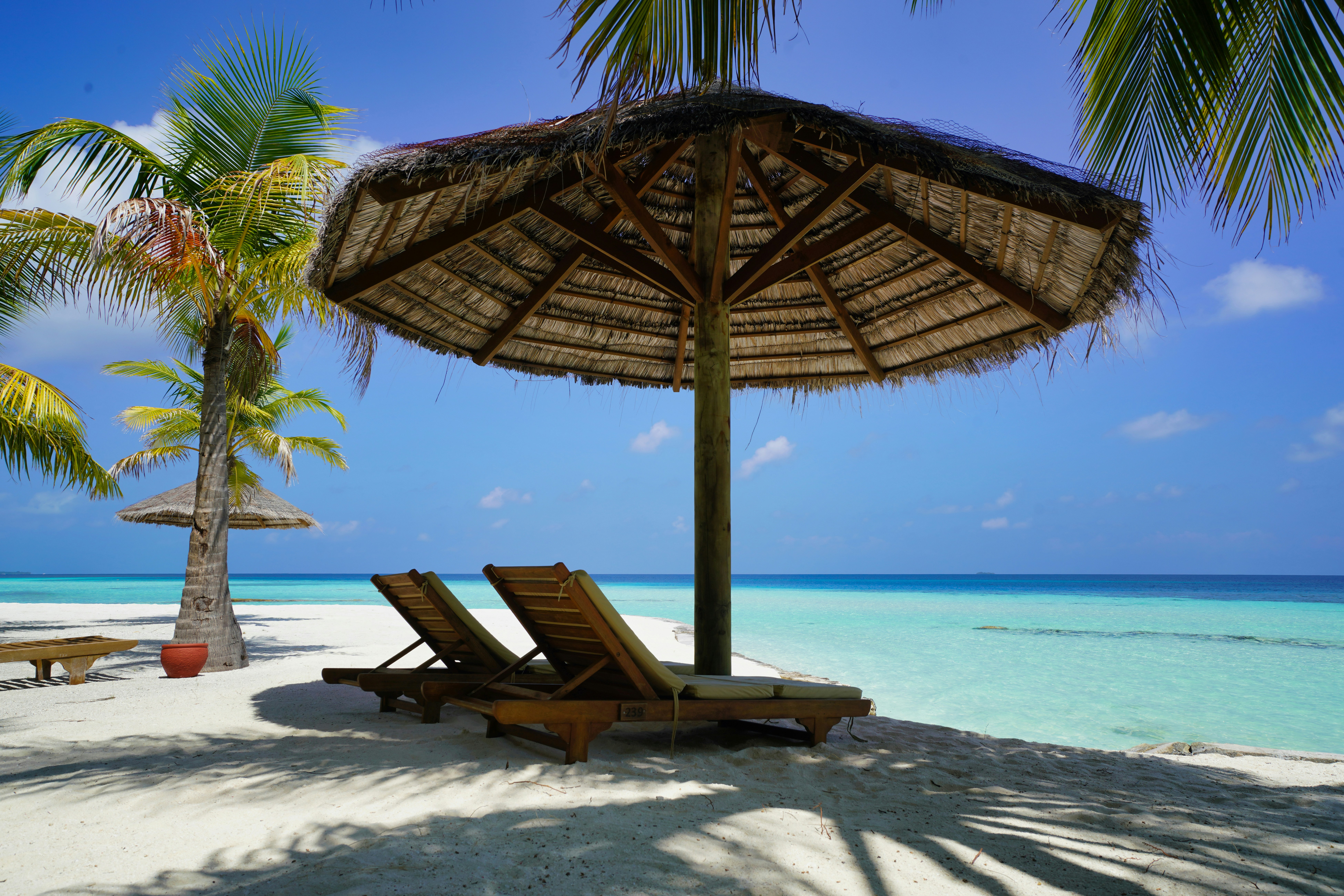 Luxury tropical beach with sun loungers under thatched parasol